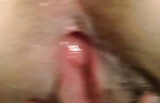 XXX سگ ماده, مودار, ساق پوش, فیلم سکی عربی نوجوانی